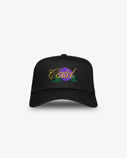 Cartel Worldwide Hat