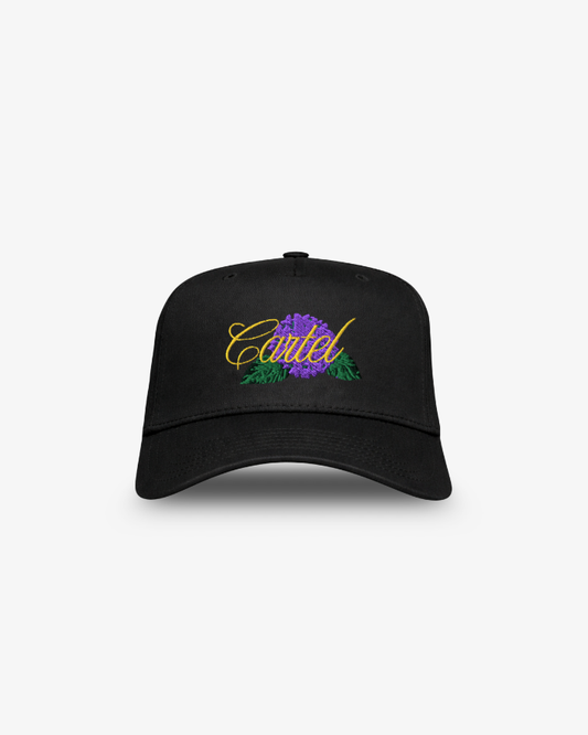 Cartel Worldwide Hat