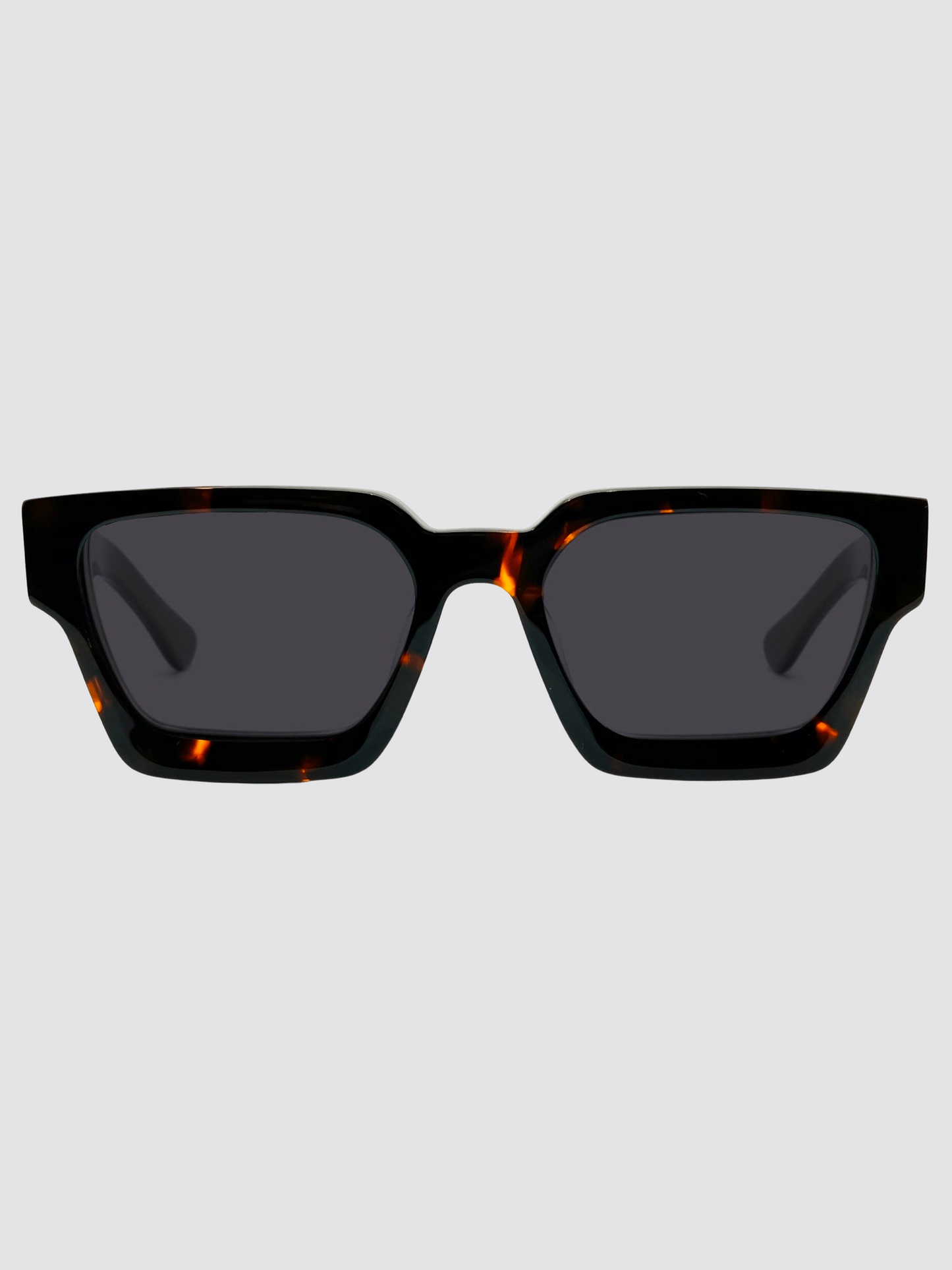 The Nemesis Polarized Sunglasses