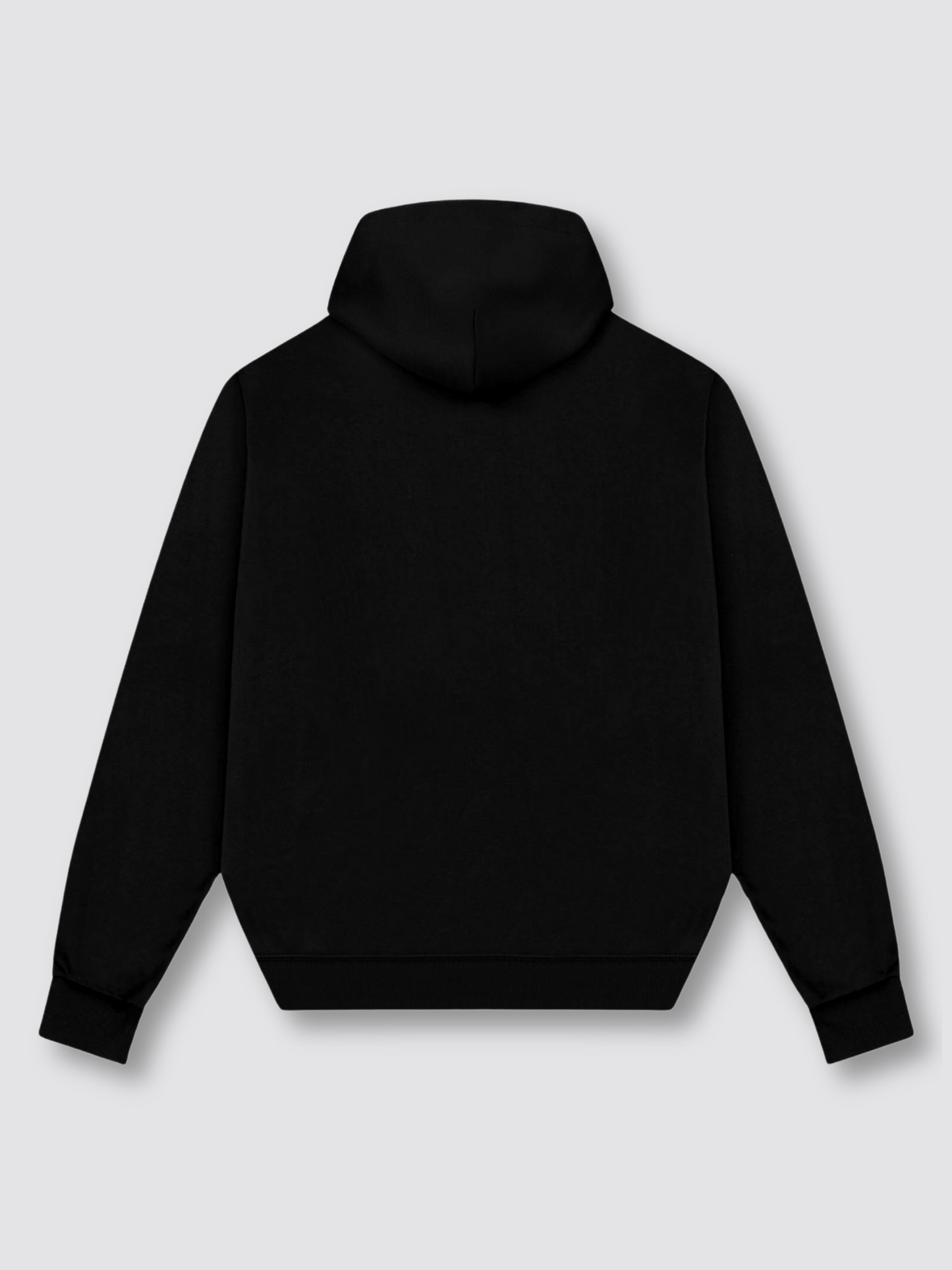 Vie De Rue Oversized Premium Hoodie