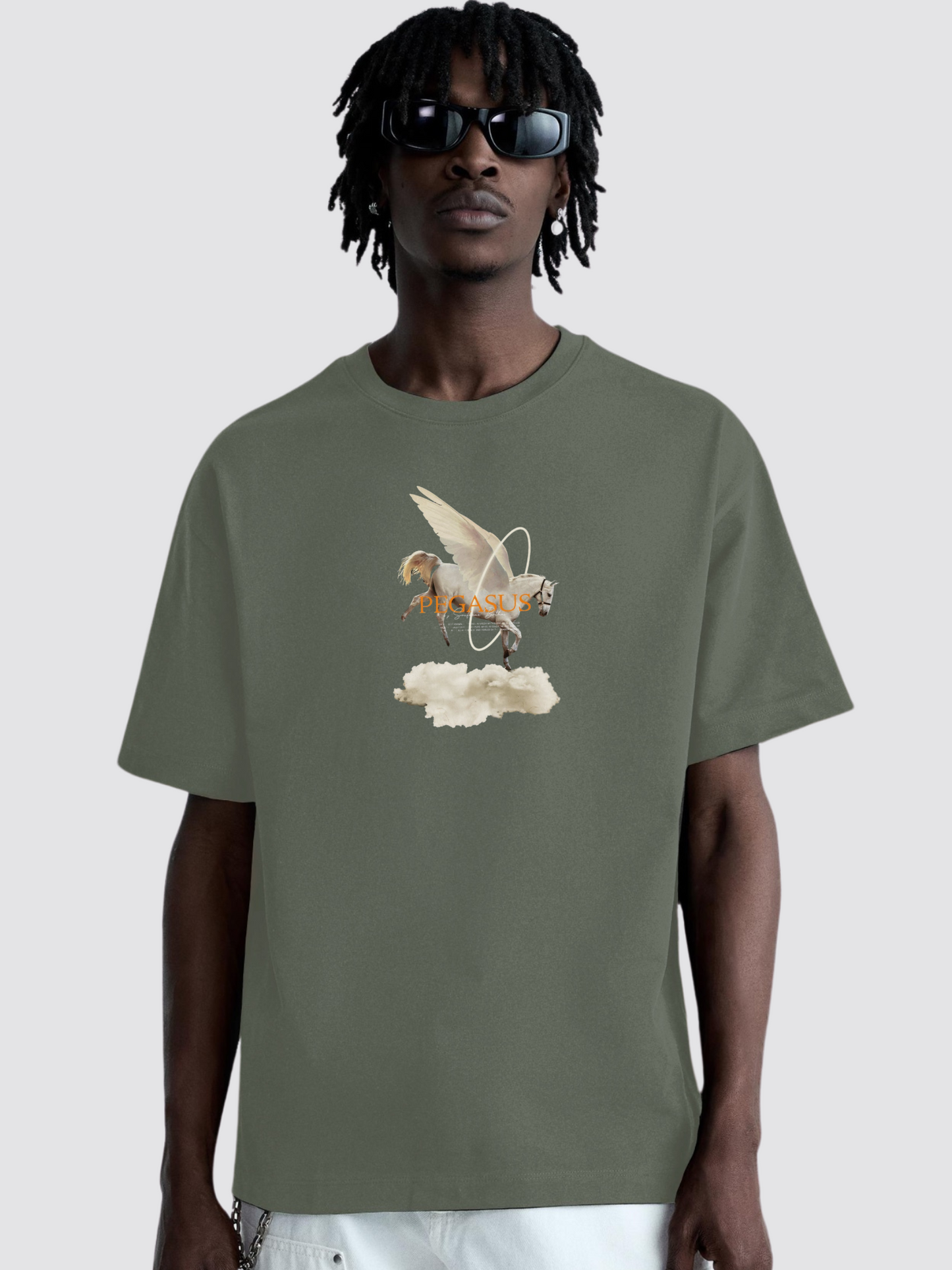 Pegasus Heavy Oversized T-Shirt