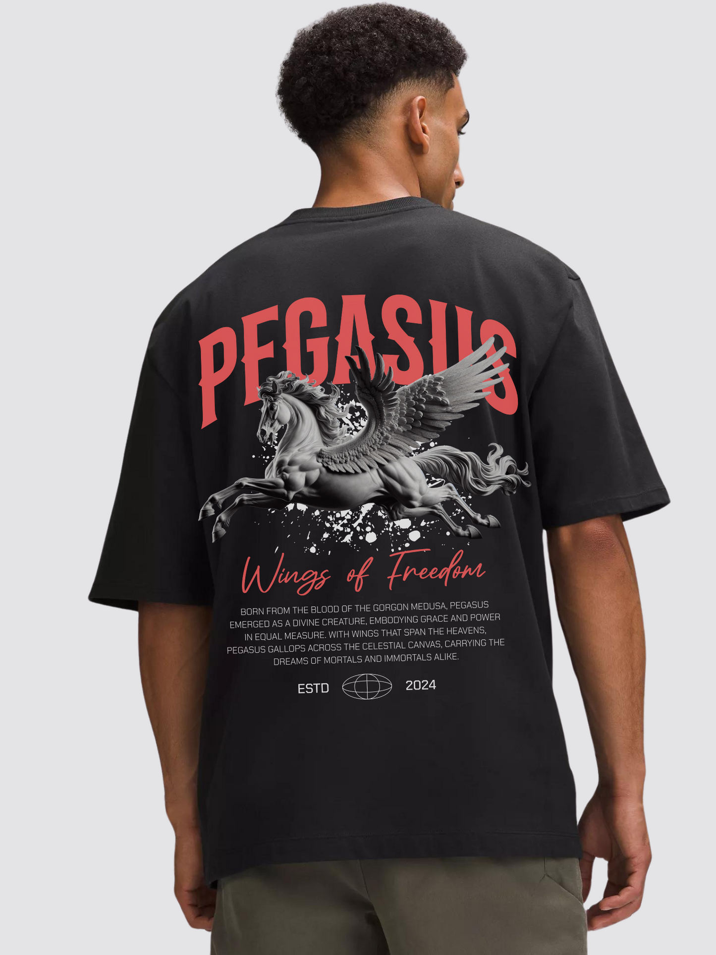 Pegasus Heavy Oversized T-Shirt