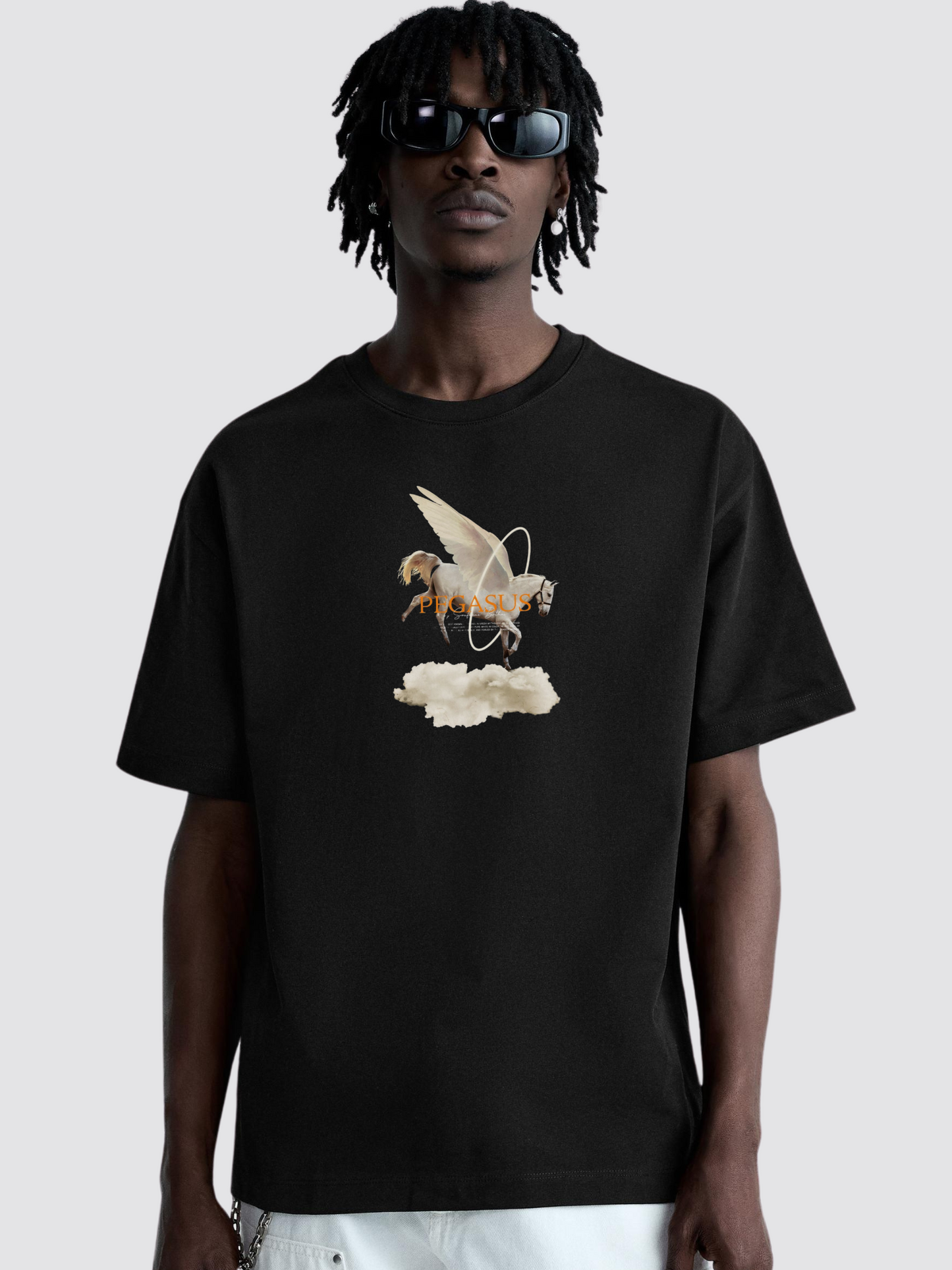 Pegasus Heavy Oversized T-Shirt