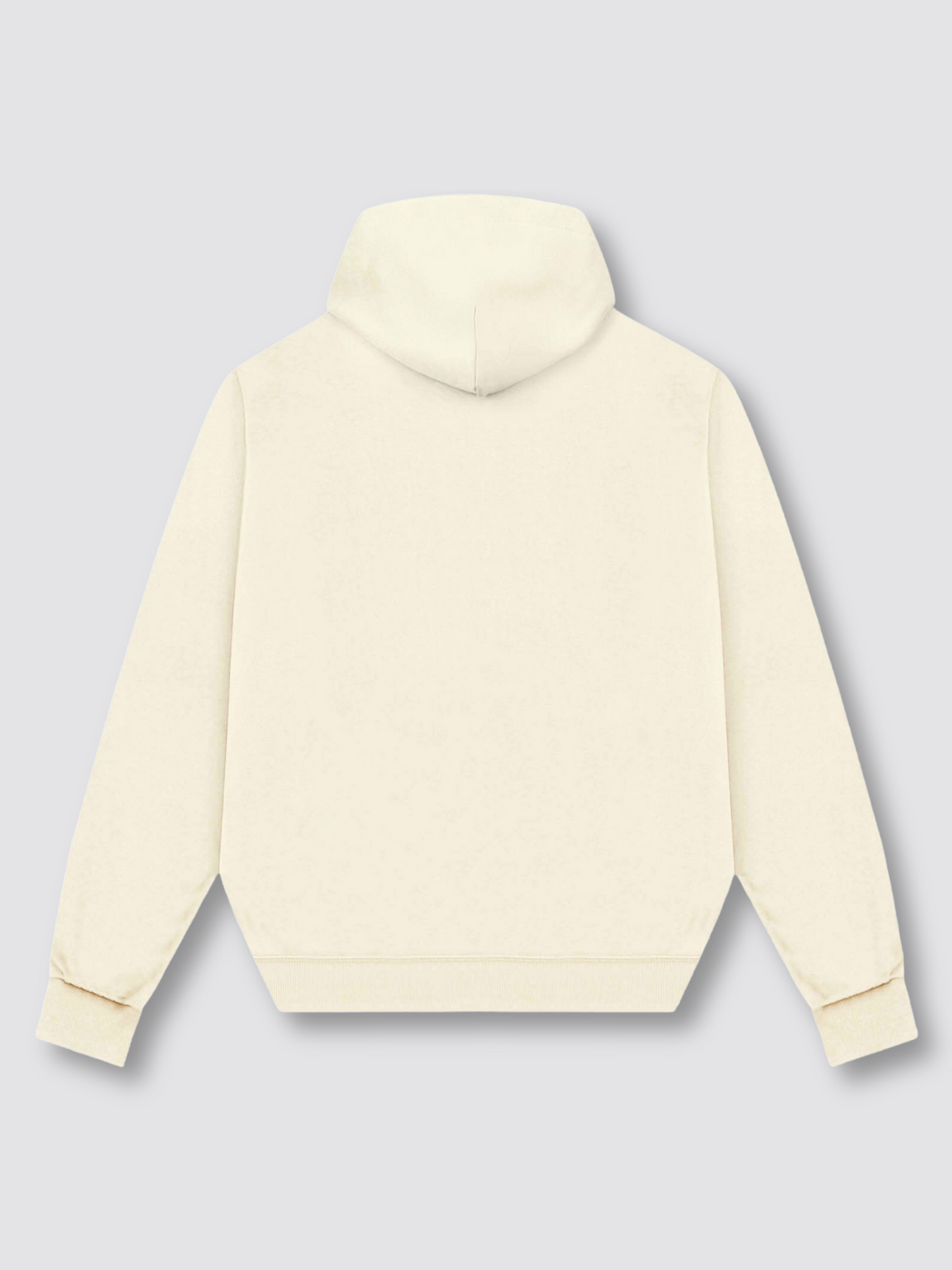 Premium Oversized hoodie